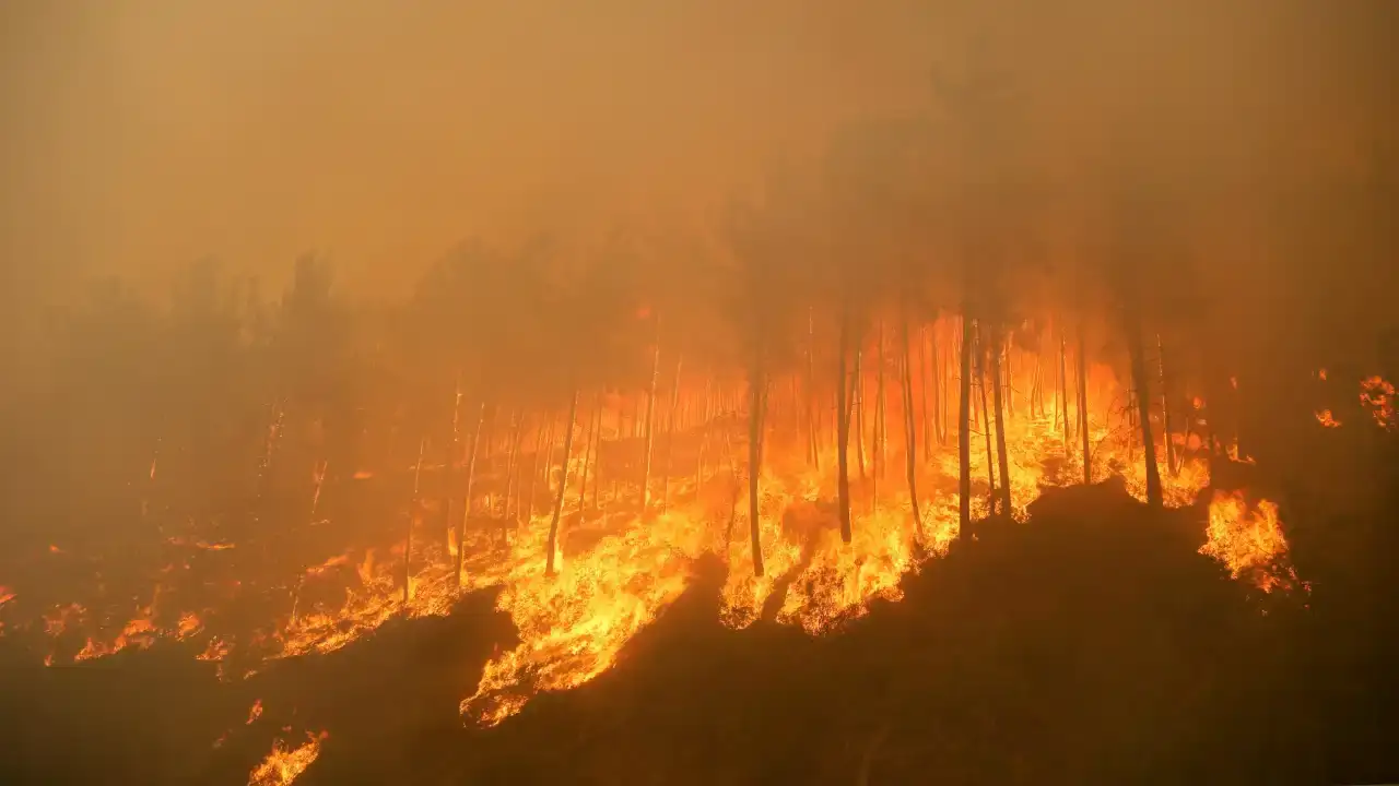 Antalya’nın Ormanları Tehdit Altında, Yangınlar Artıyor 4